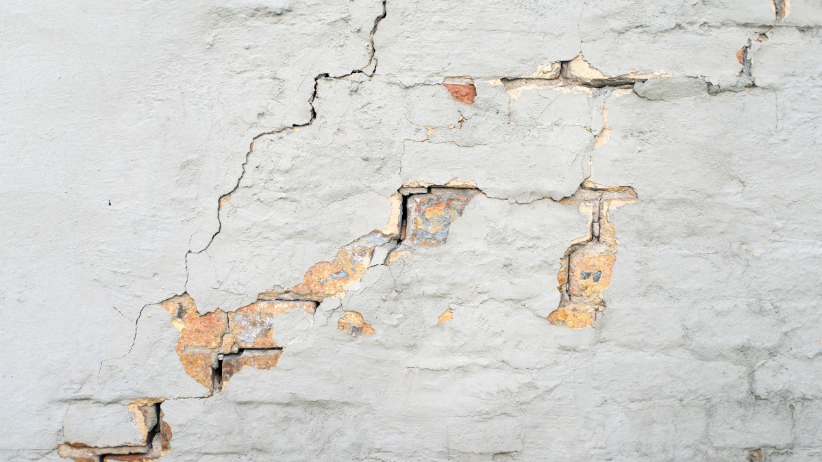 What happens in a building and pest inspection?